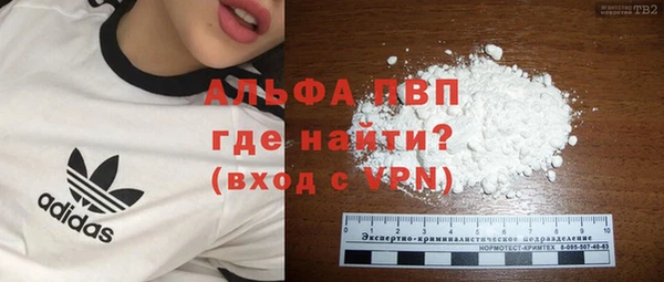 стаф Балахна