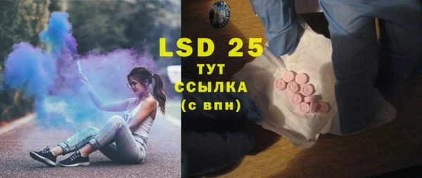 прущие грибы Балабаново