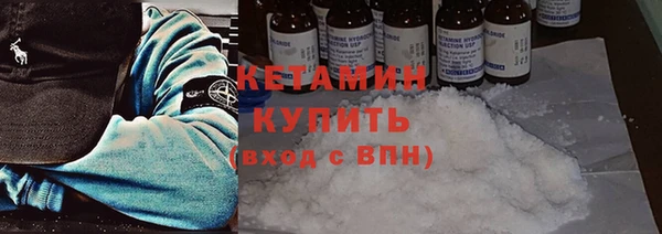 прущие грибы Балабаново