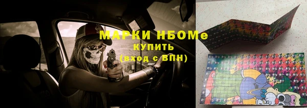 прущие грибы Балабаново