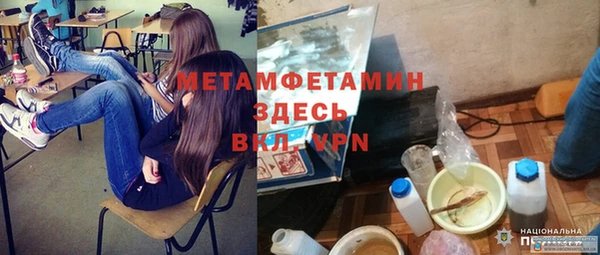 прущие грибы Балабаново