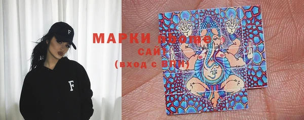 прущие грибы Балабаново