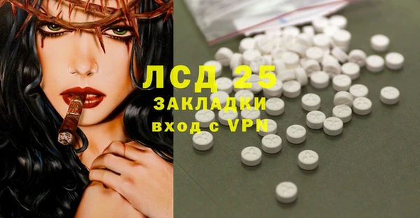 индика Рославль
