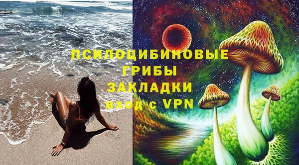 прущие грибы Балабаново
