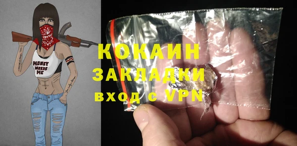 прущие грибы Балабаново