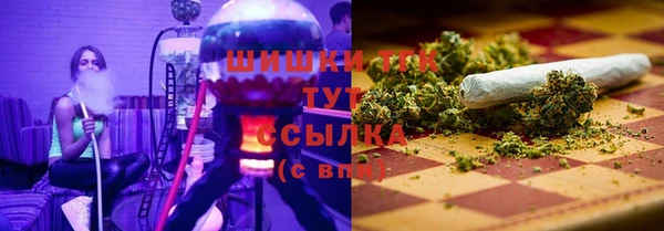 прущие грибы Балабаново