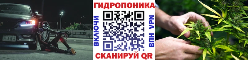 сколько стоит  Тара  Марихуана Bruce Banner 